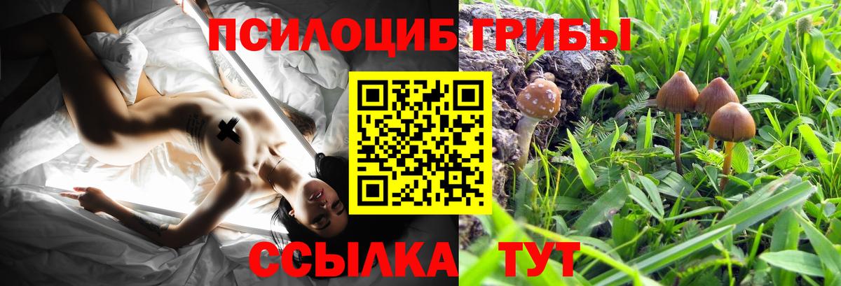 Псилоцибиновые грибы MAGIC MUSHROOMS Аксай